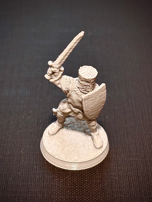 Cavaleiro com Escudo - Vista frontal