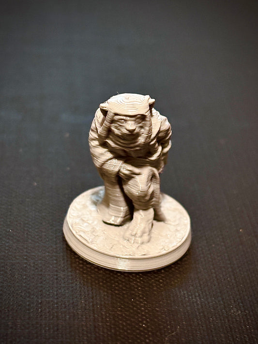 Felino Ladino - Vista frontal