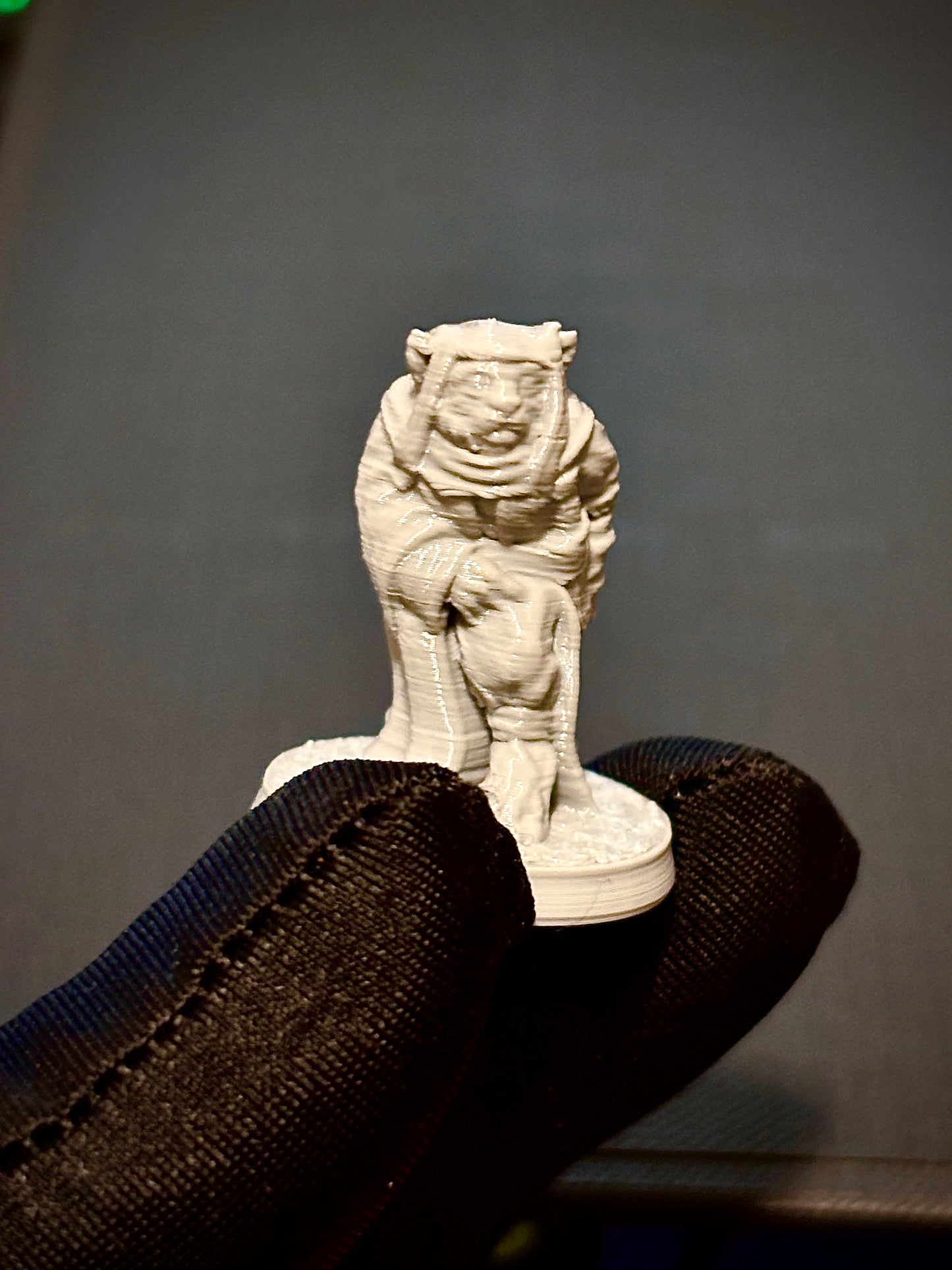 Felino Ladino - Vista traseira