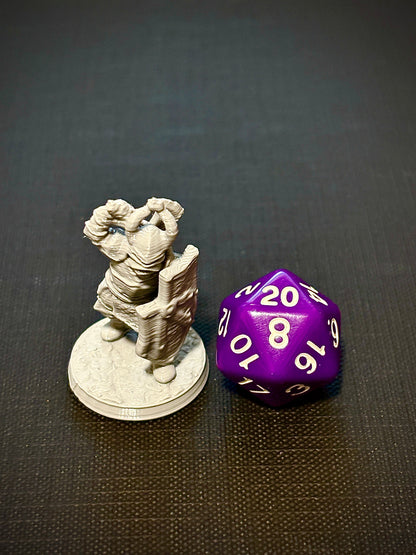 Cruzado Sombrio com Armadura de Placas - Vista com dado