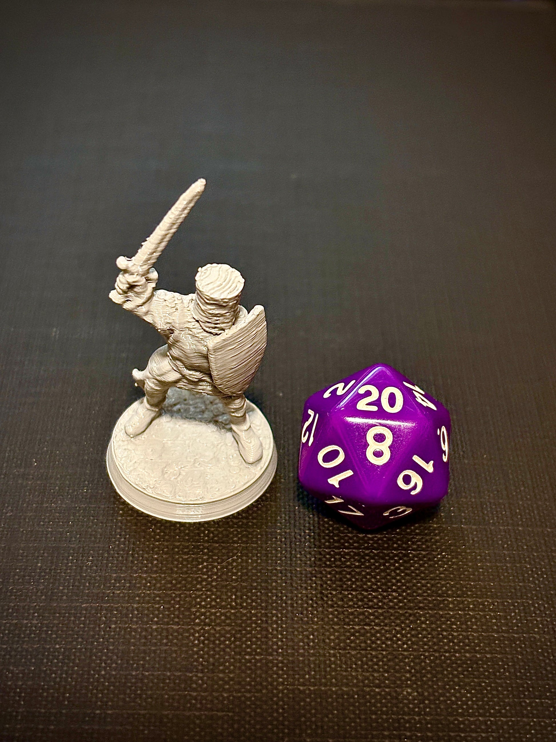 Cavaleiro com Escudo - Vista com dado