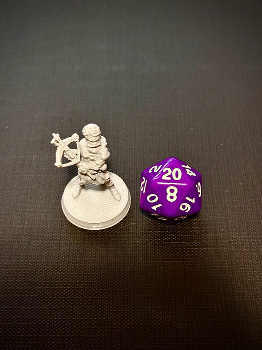 Humano Ranger com Besta - Vista com dado