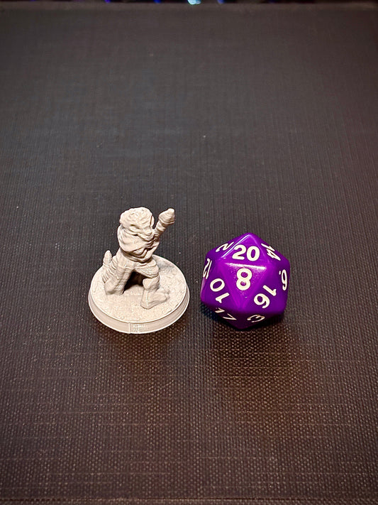 Kobold Lanceiro - Vista com dado