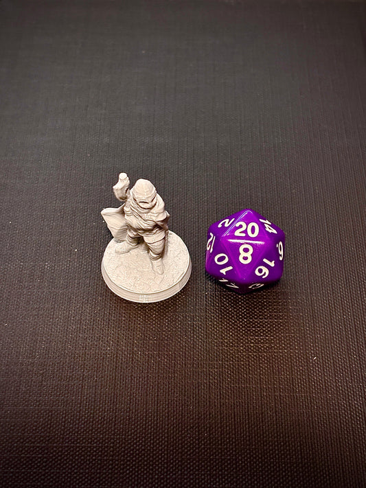 Guerreiro Viking de Machado - Vista com dado