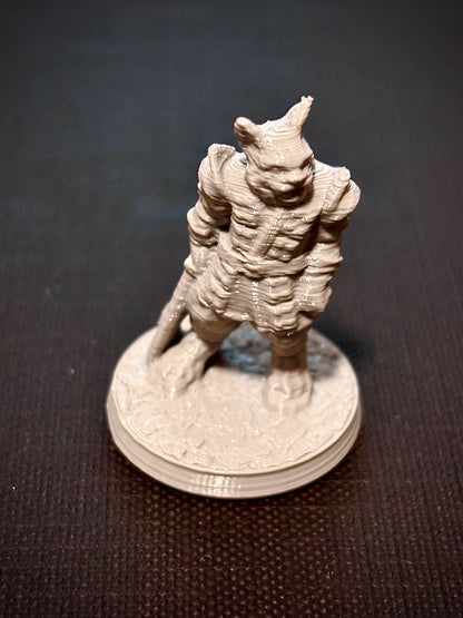 Felino Guerreiro - Vista frontal