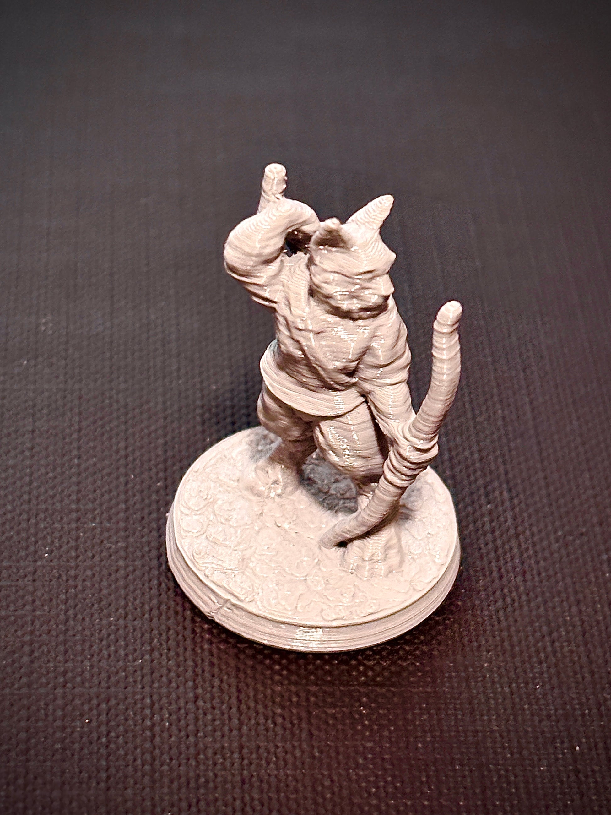 Felino Arqueiro - Vista frontal