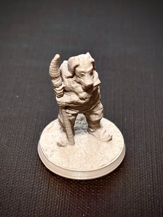 Cachorro Lanceiro - Vista frontal