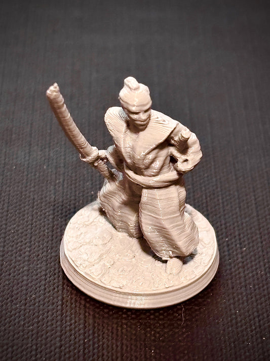 Samurai Guerreiro - Vista frontal