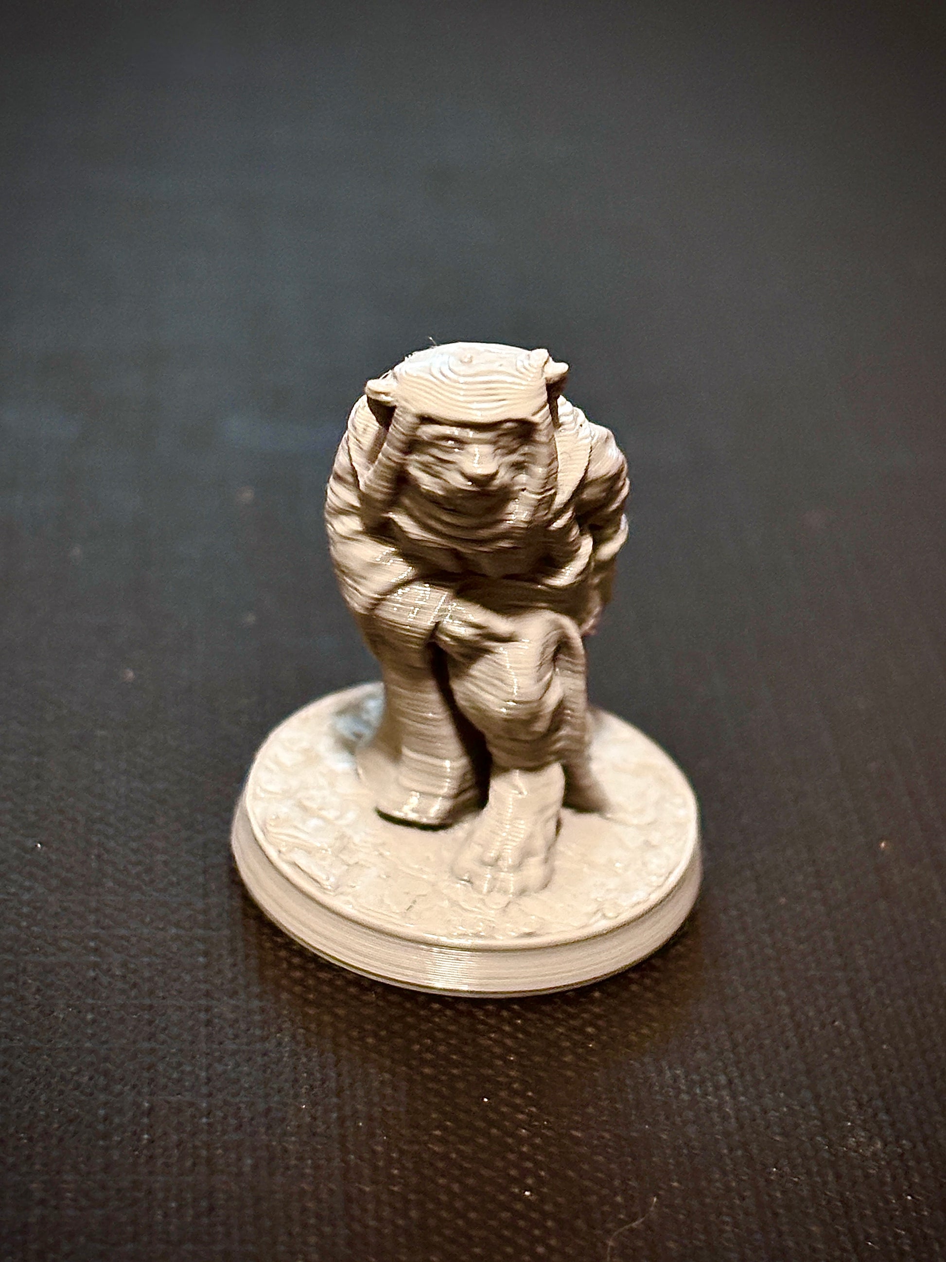 Felino Ladino - Vista frontal