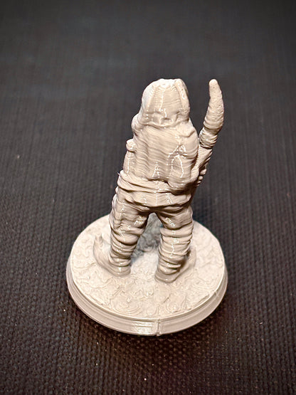 Cachorro Lanceiro - Vista traseira