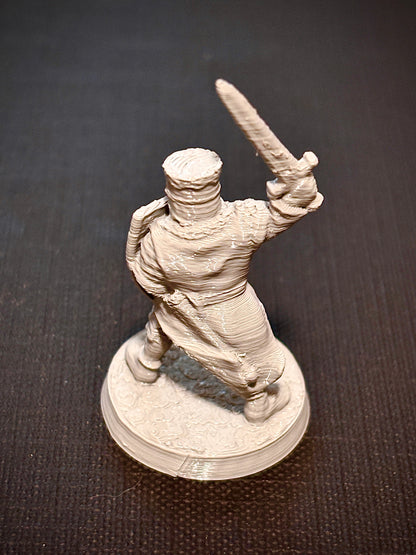 Cavaleiro com Escudo - Vista traseira