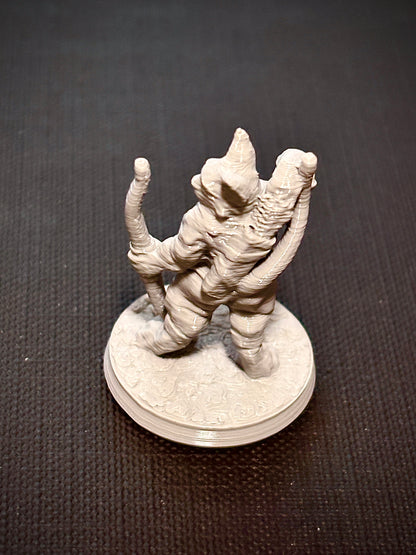 Felino Arqueiro - Vista traseira