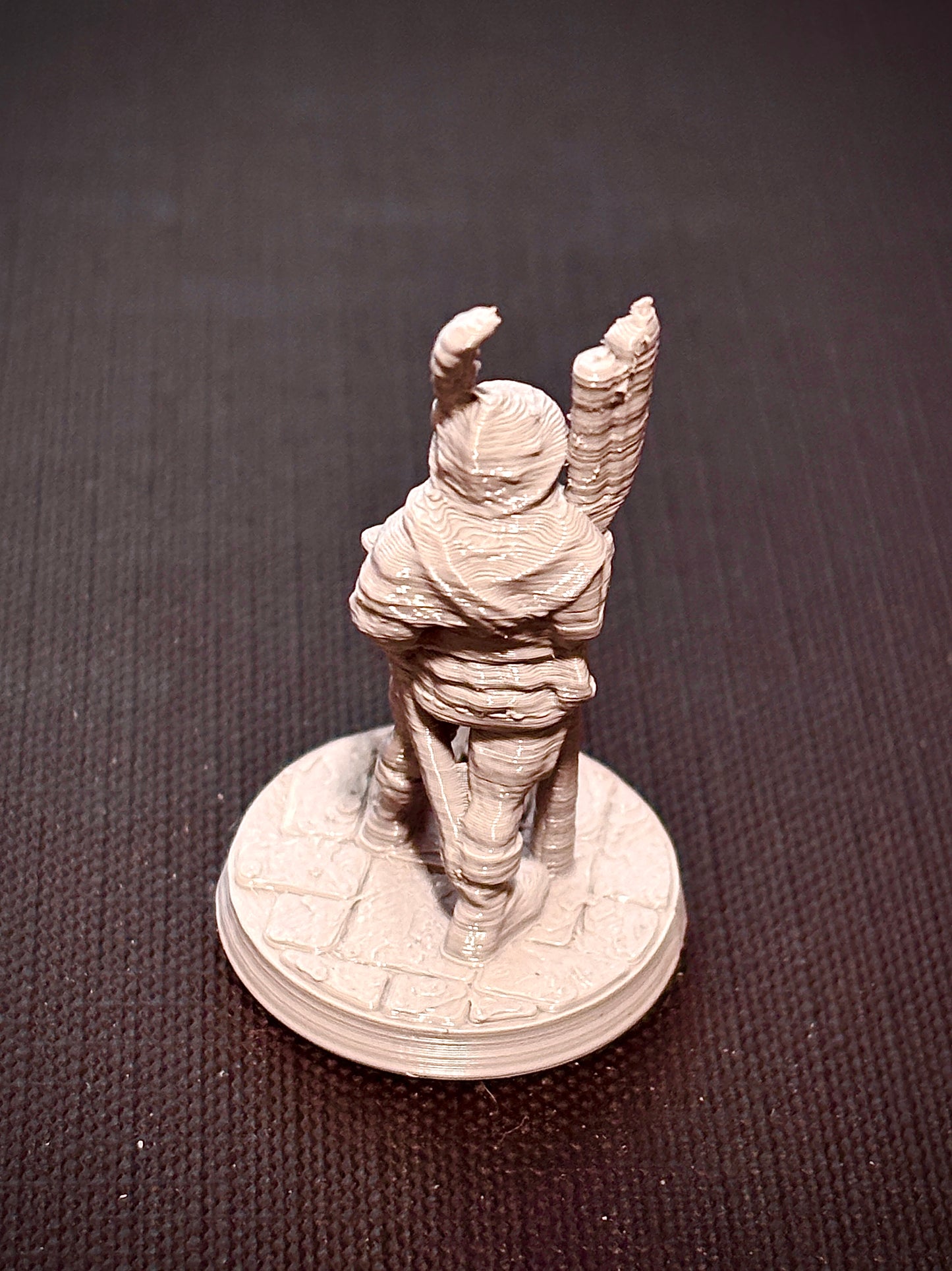 Guarda de Machado - Vista traseira